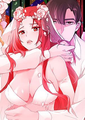 间谍过家家 封面